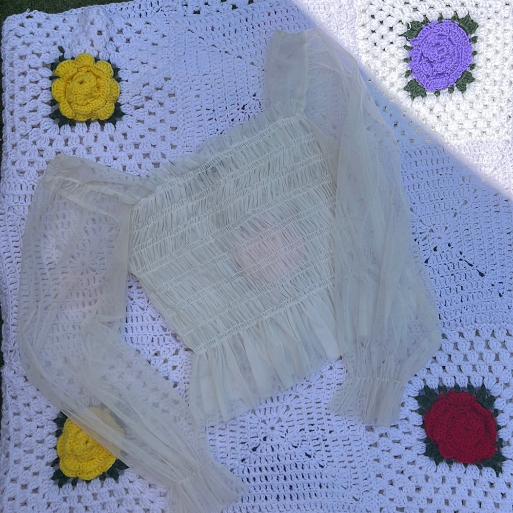 Sheer Ruffled stretchy top